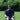 Black hat with "BREAD" text worn by a man sitting on grass, holding a shoe in one hand and a white object in the other.